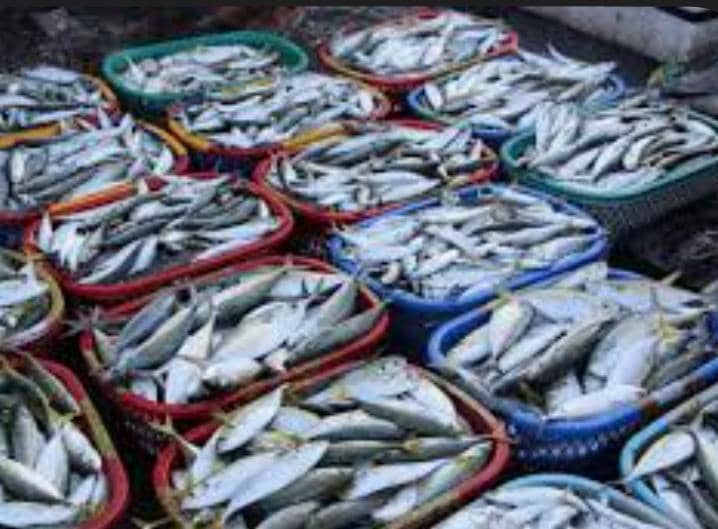 Borrow - Loan Company Website Template